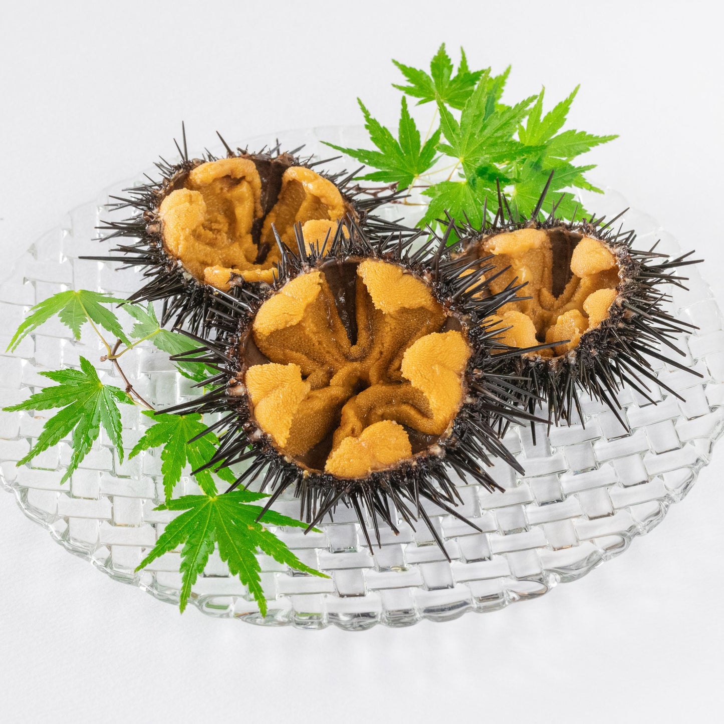 【予約販売開始】とろける塩水生うに ~三陸の海を、そのまま食卓へ。ミョウバン不使用~